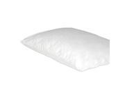 Protect A Bed Premium Queen Pillow Protector