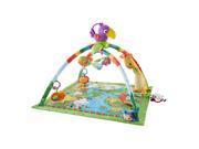 Fisher Price Rainforest Music and Lights Deluxe Gym Playset