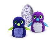 Hatchimals Draggles Blue Purple Egg One of Two Magical Creatures Inside