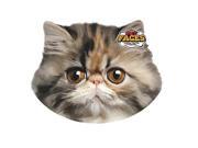 Pet Faces Pillows Persian Cat