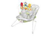 Fisher Price Baby s Bouncer Geo Meadow