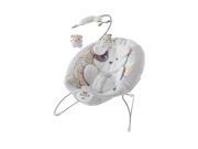 Fisher Price Sweet Snugapuppy Dreams Deluxe Baby Bouncer