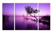 Wieco Art Modern Giclee Stretched and Framed Canvas Prints Artwork 3 Panels Purple Lake on Canvas Wall Art for Home Decorations Picture Printing is Much Less