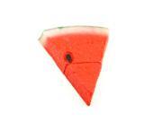 WIFEB 8GB High Speed Fresh Watermelon Flash Memory USB Flash Drive Memory Stick