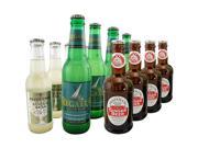 Premium Ginger Beer Sample Pack Set of 12