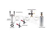 Double Tap Tower Refrigerator Conversion Kit Stainless Steel Tower w 5 lb CO2 Tank
