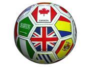 International Soccer Ball Official Flag Size 5
