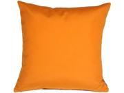 Pillow Decor Sunbrella Tangerine Orange 20x20 Outdoor Pillow