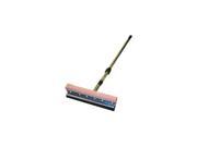 Carrand Squeegee W 24in 42in Handle 9046