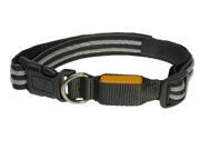 Single line LED Flashing Dog Collar 3 4 wide Adjusts 11 20