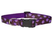 Sassy Dog Wear Adjustable Orchid Chocolate Dot Dog Collar Made in USA.