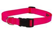 Sassy Dog Wear Adjustable Solid Nylon Webbing Dog Collar Made in USA