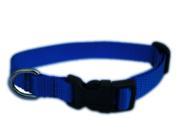 Sassy Dog Wear Adjustable Solid Nylon Webbing Dog Collar Made in USA