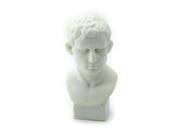 Generic Plaster Bust Statue Male Resin Casting Painting White