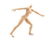 Female 1 6 Scale Soldier Action Figure Body Standard 26cm 10.24 for Figure drawing