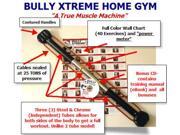 Bully Xtreme 4 Isometric and Isotonic Total Body Machine