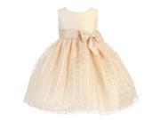 Lito Big Girls Champagne Poly Silk Embroidered Organza Easter Dress 10