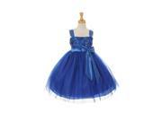 Big Girls Royal Blue Tulle Satin Bow Sash Flower Girl Easter Dress 10