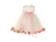 Baby Girls Ivory Dusty Rose Petal Adorned Satin Tulle Flower Girl Dress 12M