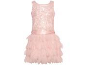 Biscotti Little Girls Pink Sequin Drop Waist Mesh Petal Easter Dress 6