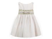 Sweet Kids Baby Girls Champagne Satin Lace Bow Tulle Flower Girl Dress 18M
