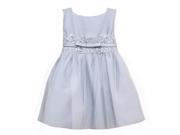Sweet Kids Baby Girls Silver Satin Lace Bow Tulle Flower Girl Dress 12M
