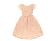 Sweet Kids Little Girls Pink Rosette Textured Flower Girl Dress 2T
