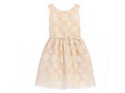 Sweet Kids Little Girls Champagne Flower Embroidered Special Occasion Dress 4