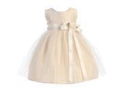 Sweet Kids Baby Girls Champagne Floral Accent Flower Girl Dress 18M