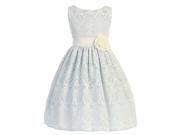 Sweet Kids Little Girls Light Blue Vintage Lace Overlay Flower Girl Dress 4