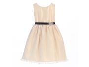 Sweet Kids Big Girls Champagne Pleated Organza Special Occasion Dress 7