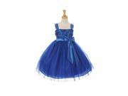 Big Girls Royal Blue Tulle Satin Bow Sash Flower Girl Easter Dress 8