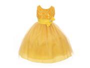 Big Girls Yellow Organza Sequin Sparkle Tulle Special Occasion Dress 14