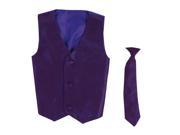 Lito Baby Boys Purple Poly Silk Vest Necktie Special Occasion Set 12 24M