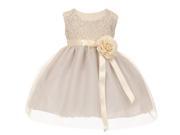 Baby Girls Silver Two Tone Lace Satin Ribbons Corsage Flower Girl Dress 18M