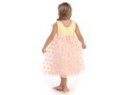Angels Garment Little Girls Yellow Coral Pink Lace Floral Mesh Easter Dress 2T