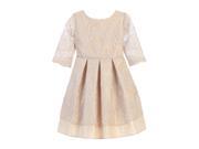 Sweet Kids Little Girls Champagne Vintage Lace Pleated Occasion Dress 6