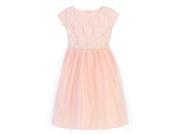 Sweet Kids Big Girls Pink Lace Sequin Tulle Junior Bridesmaid Dress 8