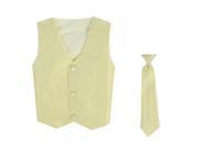 Lito Baby Boys Yellow Poly Silk Vest Necktie Special Occasion Set 12 24M
