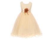 Little Girls Champagne Sash Tulle Rosette Bodice Flower Girl Dress 6