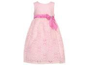 Littoe Potatoes Little Girls Pink Floral Glitter Bow Accent Easter Dress 2T