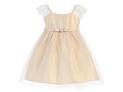 Sweet Kids Baby Girls Champagne Lace Sleeve Pearl Broach Easter Dress 9M