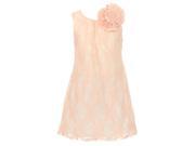 Big Girls Blush Ribbon Pearl Floral Stretch Lace Junior Bridesmaid Dress 12