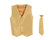 Lito Baby Boys Gold Poly Silk Vest Necktie Special Occasion Set 12 24M