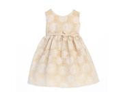 Sweet Kids Baby Girls Champagne Flower Embroidered Special Occasion Dress 6 9M