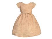 Sweet Kids Little Girls Champagne Rosette Textured Flower Girl Dress 2T