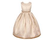 Kids Dream Big Girls Champagne Jacquard Sophisticated Occasion Dress 10