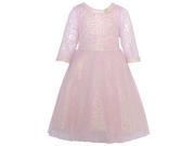 Bonnie Jean Little Girls Pink Spotted Brooch Glitter Christmas Dress 4