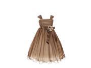 Little Girls Brown Poly Mesh Satin Flower Sash Special Occasion Dress 2