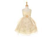 Big Girls Gold Pastel Organza Jewel Bow Flower Girl Easter Dress 14